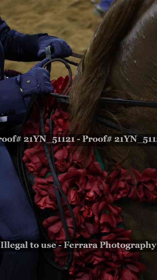 Proof Number 21YN_51121