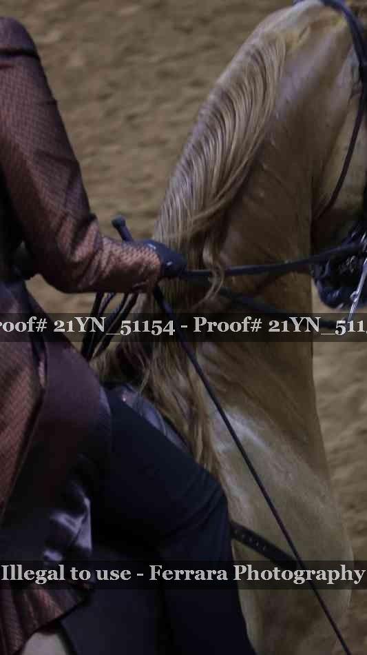 Proof Number 21YN_51154