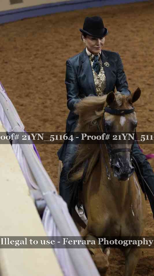 Proof Number 21YN_51164