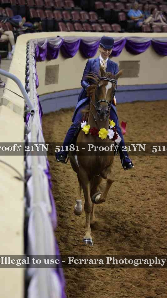 Proof Number 21YN_51181