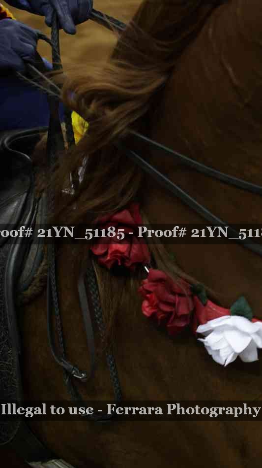 Proof Number 21YN_51185