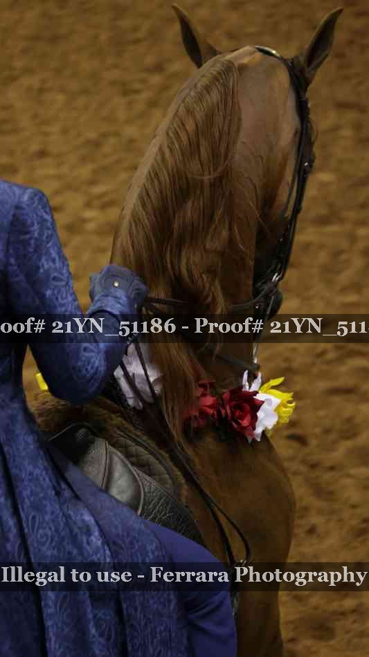 Proof Number 21YN_51186