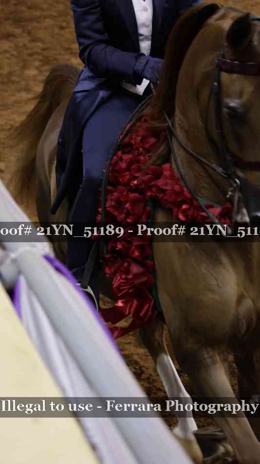 Proof Number 21YN_51189