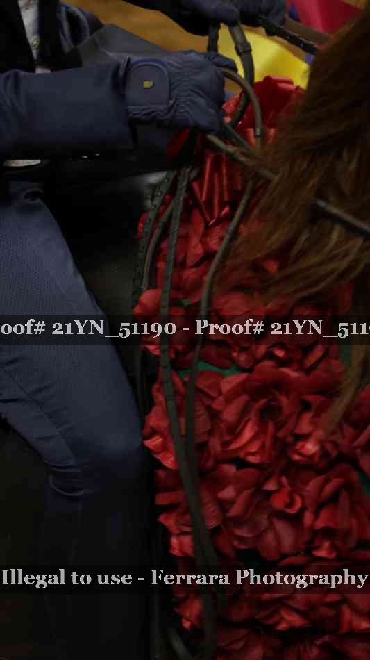 Proof Number 21YN_51190