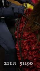 21YN_51190 thumbnail