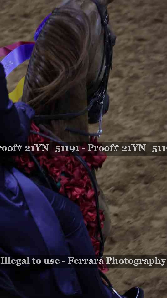 Proof Number 21YN_51191