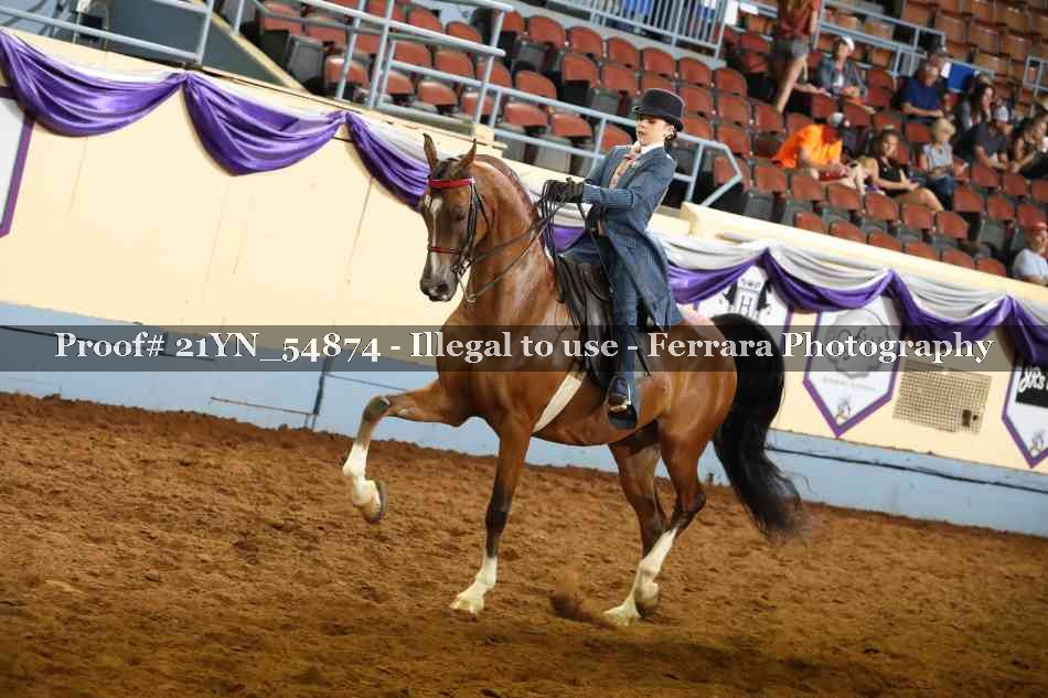 Proof Number 21YN_54874