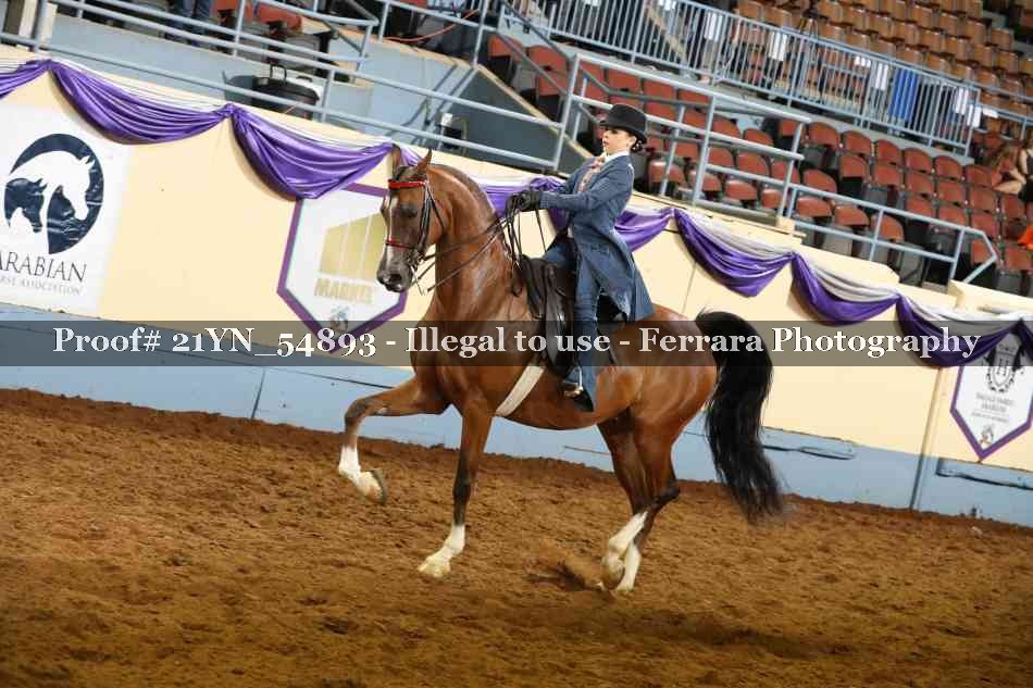 Proof Number 21YN_54893