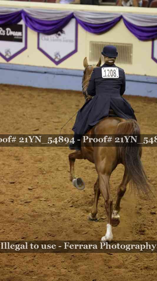 Proof Number 21YN_54894