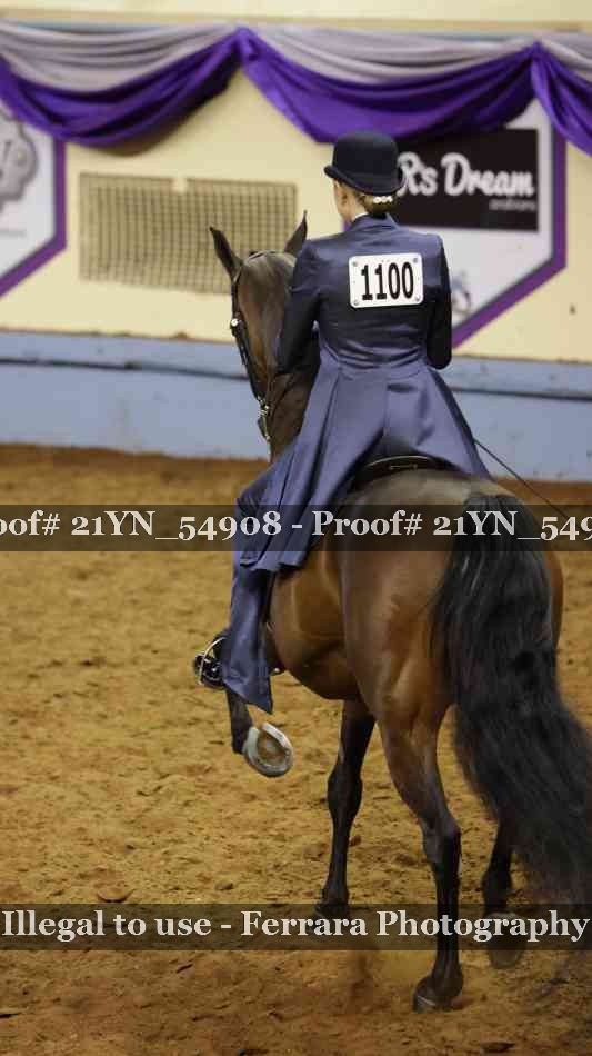 Proof Number 21YN_54908