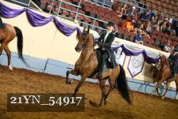 21YN_54917 thumbnail