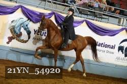 21YN_54920 thumbnail