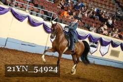 21YN_54924 thumbnail