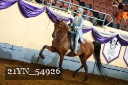 21YN_54926 thumbnail