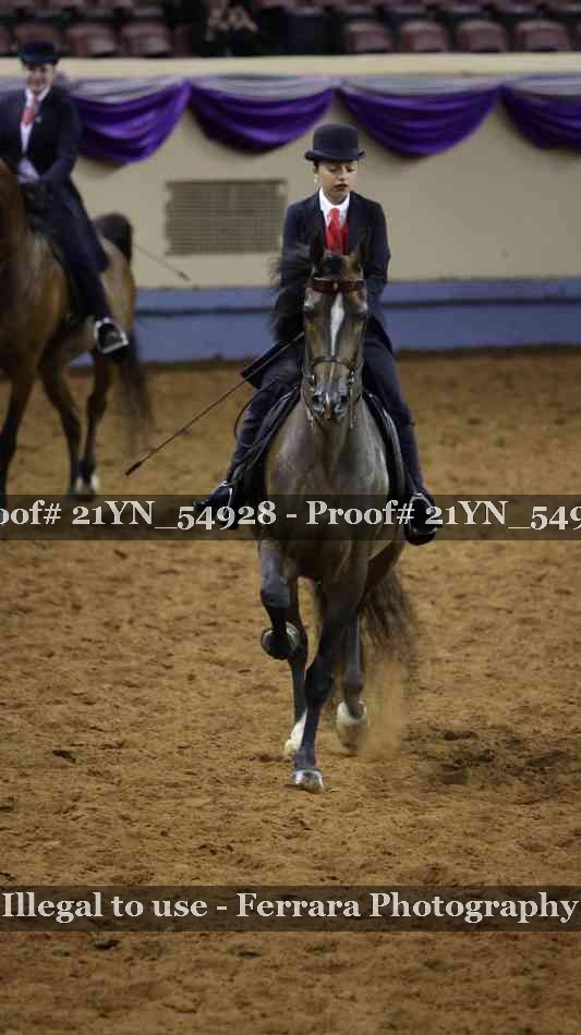 Proof Number 21YN_54928