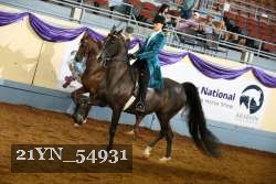 21YN_54931 thumbnail