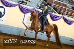 21YN_54933 thumbnail