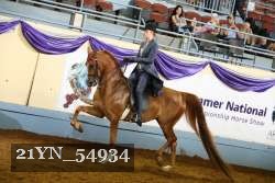 21YN_54934 thumbnail