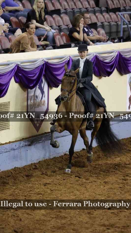 Proof Number 21YN_54936