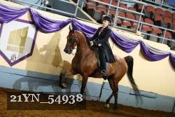 21YN_54938 thumbnail