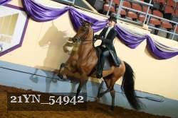 21YN_54942 thumbnail