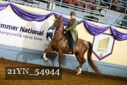 21YN_54944 thumbnail