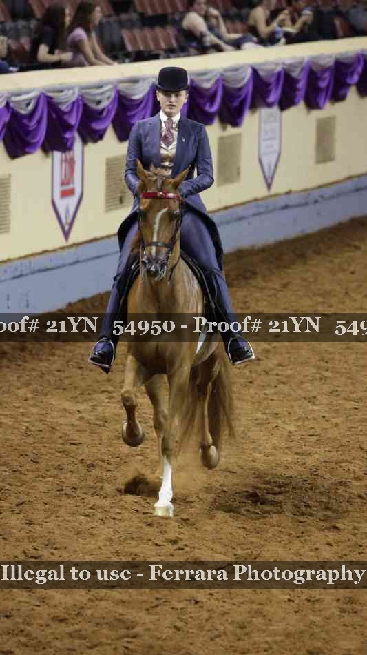 Proof Number 21YN_54950