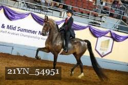 21YN_54951 thumbnail