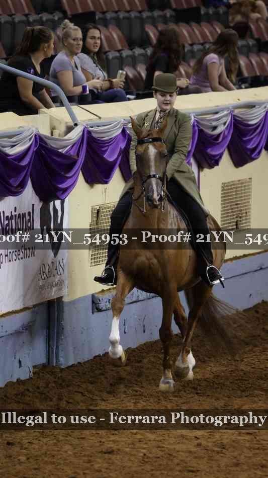 Proof Number 21YN_54953