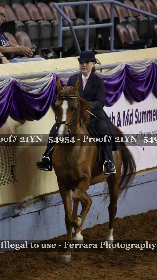 Proof Number 21YN_54954