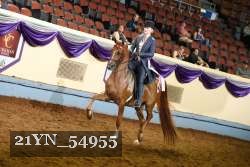 21YN_54955 thumbnail