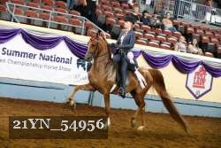 21YN_54956 thumbnail