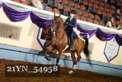 21YN_54958 thumbnail
