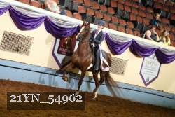 21YN_54962 thumbnail