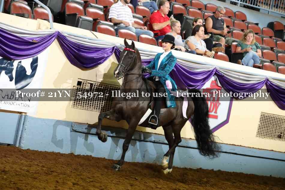 Proof Number 21YN_54972