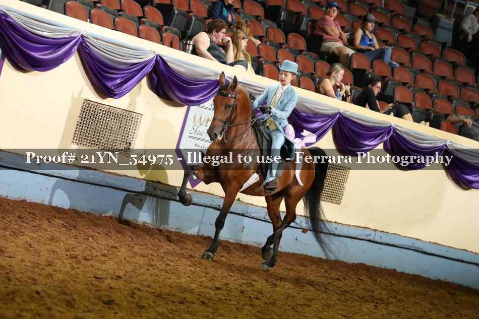 Proof Number 21YN_54975