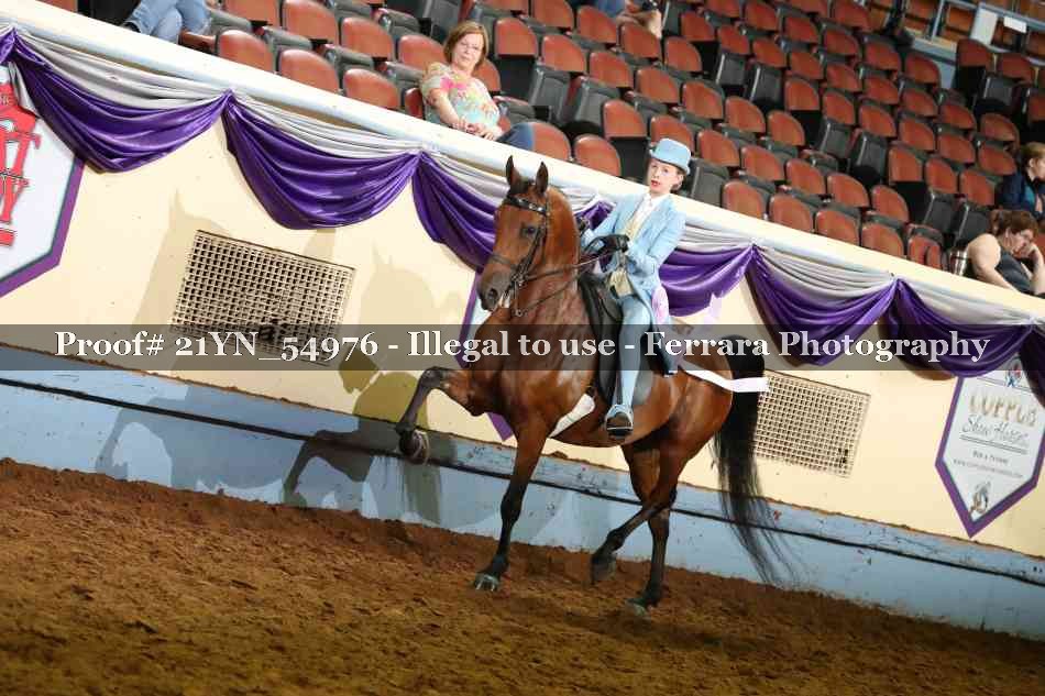 Proof Number 21YN_54976