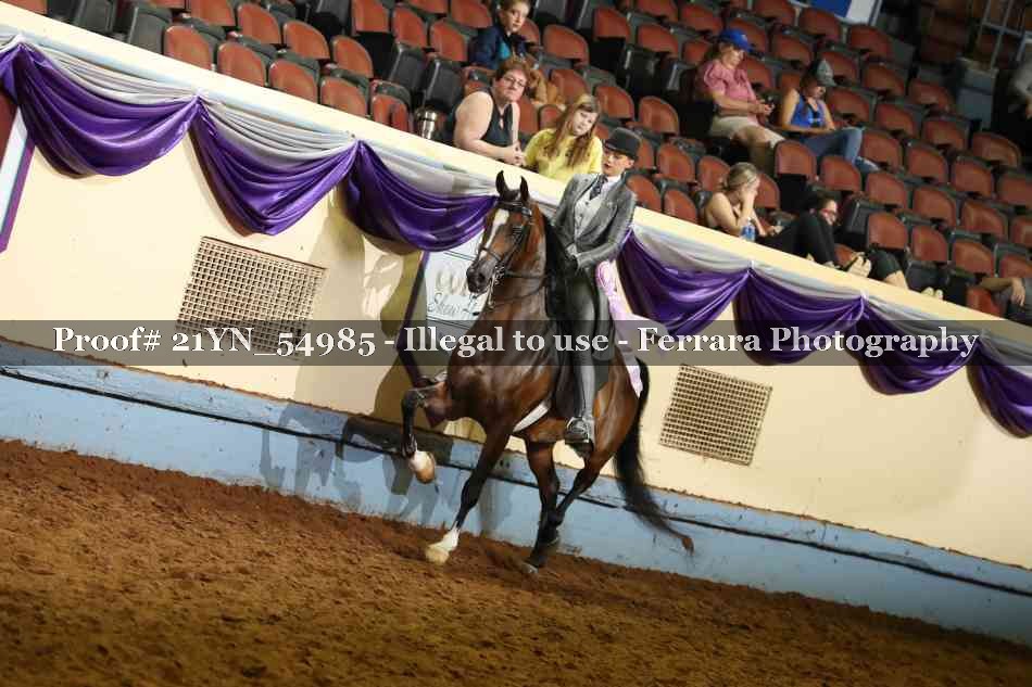 Proof Number 21YN_54985