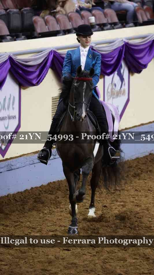 Proof Number 21YN_54993
