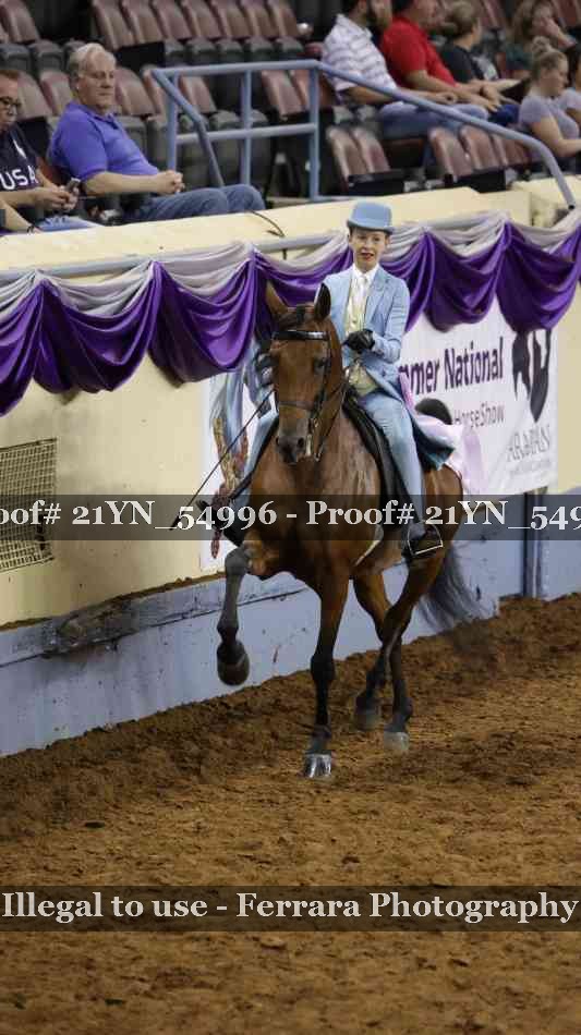 Proof Number 21YN_54996