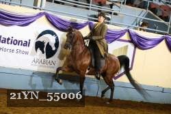 21YN_55006 thumbnail