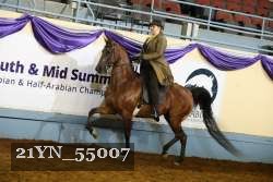 21YN_55007 thumbnail
