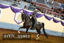 21YN_55012 thumbnail