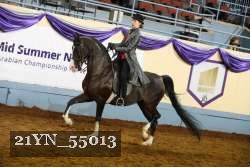 21YN_55013 thumbnail