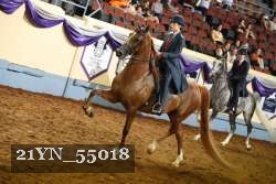 21YN_55018 thumbnail