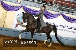 21YN_55024 thumbnail