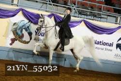 21YN_55032 thumbnail