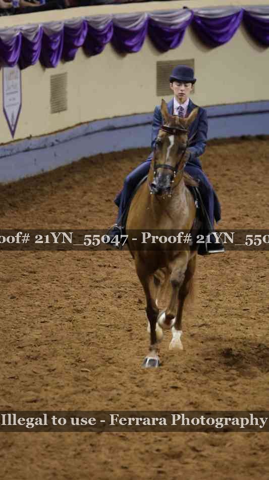 Proof Number 21YN_55047
