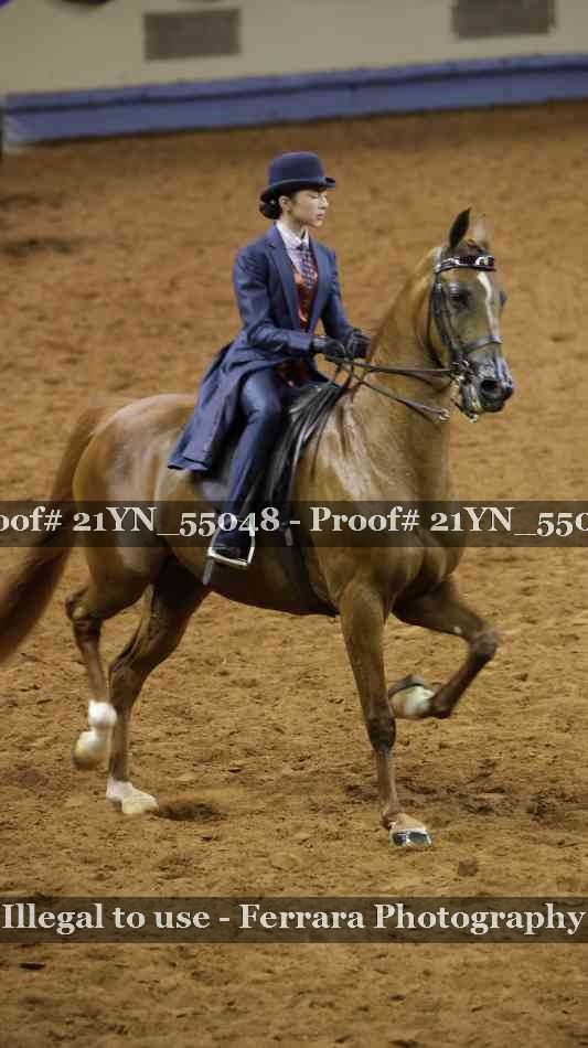 Proof Number 21YN_55048