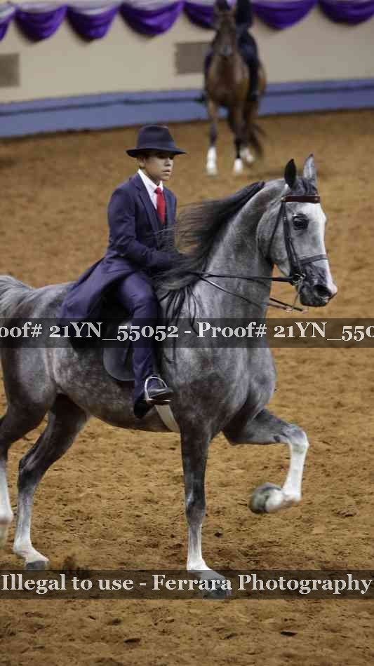 Proof Number 21YN_55052
